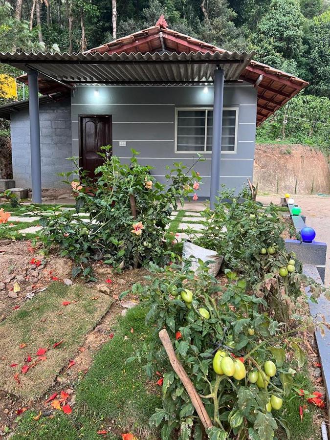 Darshan'S Home Stay Madikeri Luaran gambar