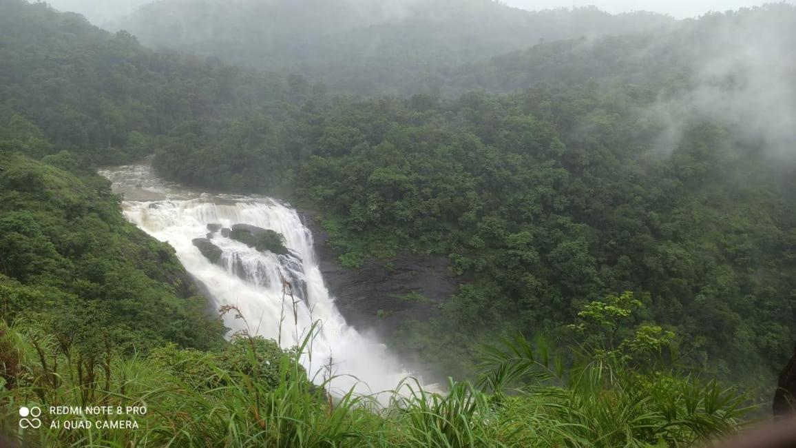 Darshan'S Home Stay Madikeri Luaran gambar